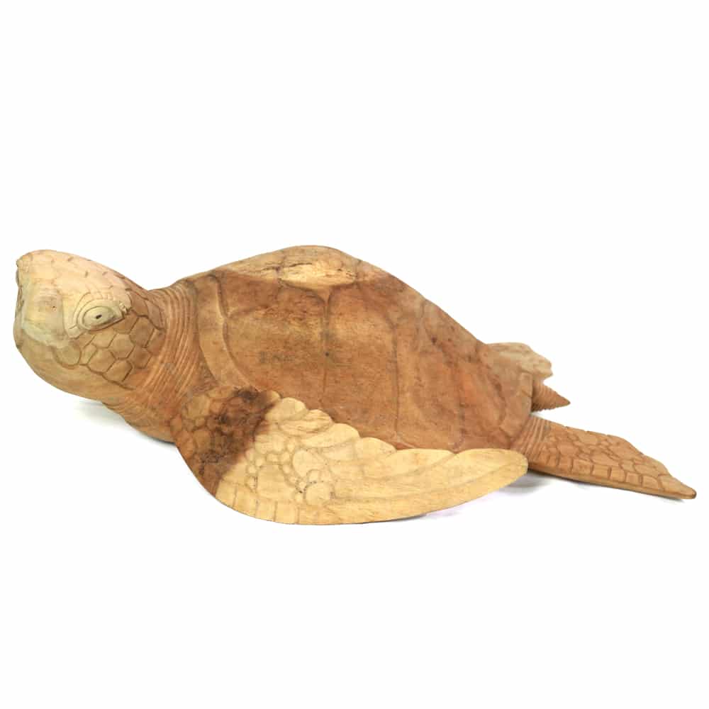 Teknős, 50cm, Suar fa