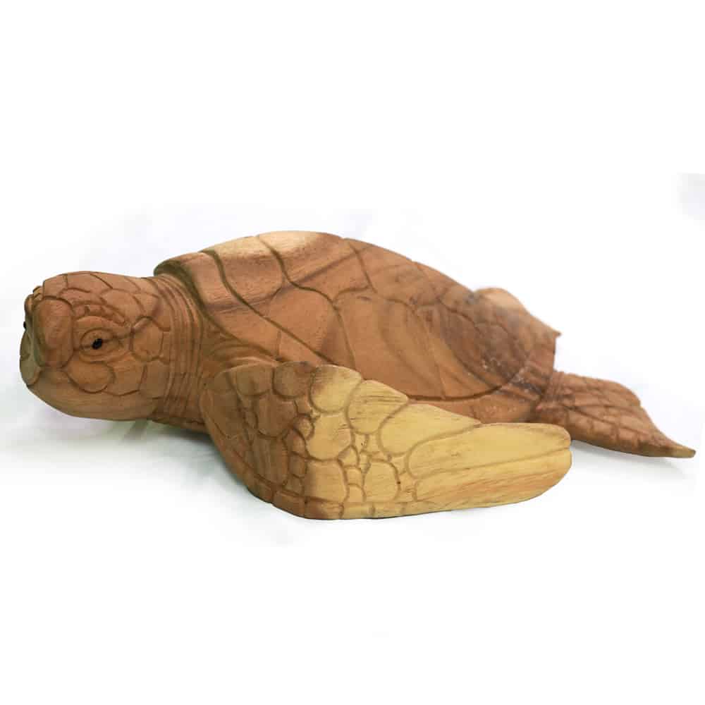 Tengeri teknős, 40cm hosszú Suar fából