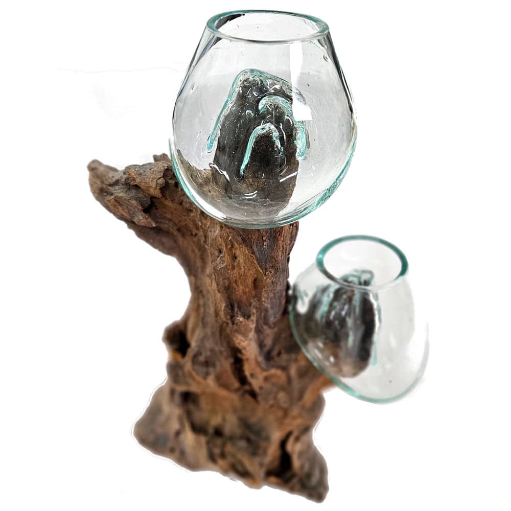 Dua Twin Bowls: 2 üvegtál gyökérfán, 37 cm