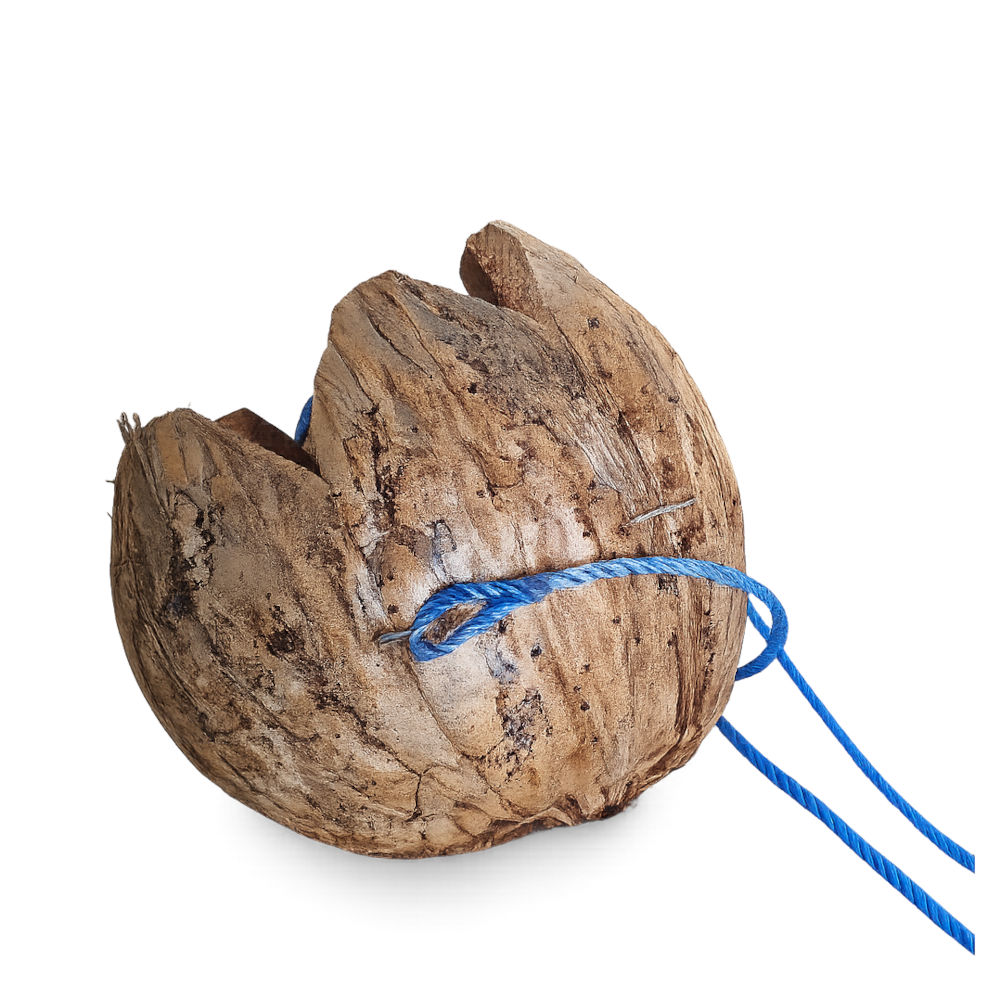 Coco Hang függő virágtartó kókuszhéjból, Ø 20 cm